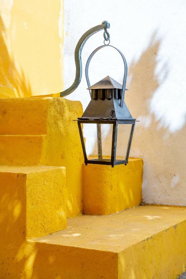Bright & Spacious With Orange Tree Patio, By Timecooler Lisboa Εξωτερικό φωτογραφία